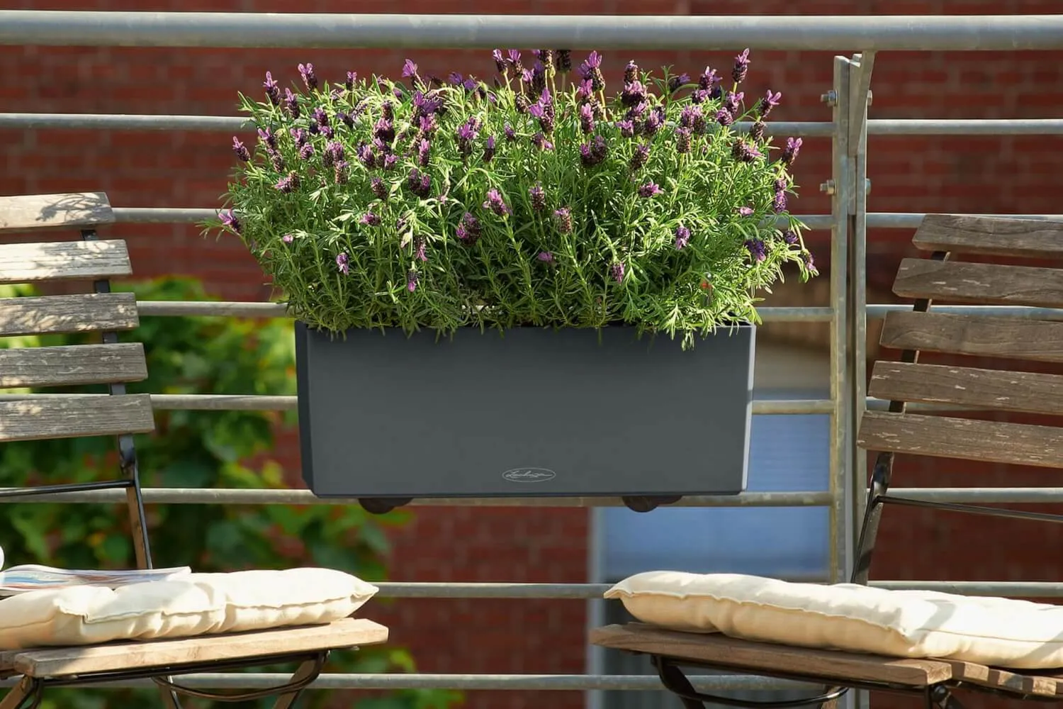 Balconybox with self watering system from Lechuza 50 cm