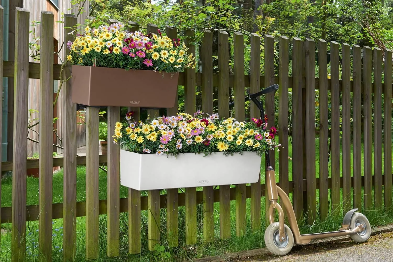 Balconybox with self watering system from Lechuza 50 cm