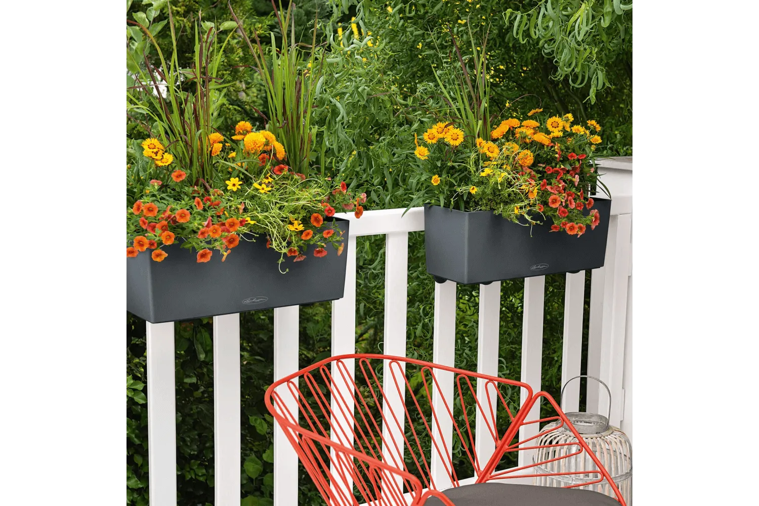 Balconybox with self watering system from Lechuza 50 cm