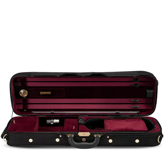 Eastman Pro CA1908 Violin Case