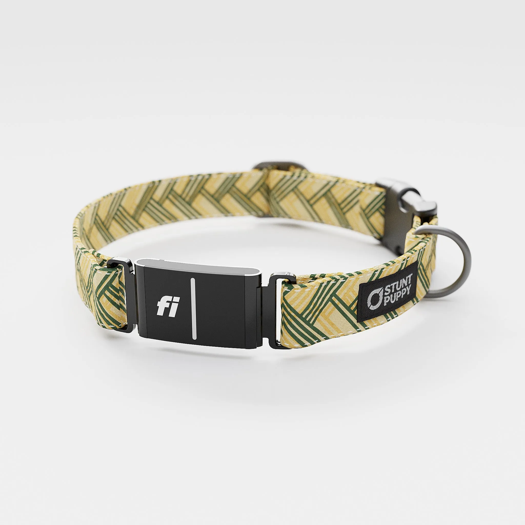 Fi GPS Included Fishtail Yellow Green Everyday Collar (6 month subscription)