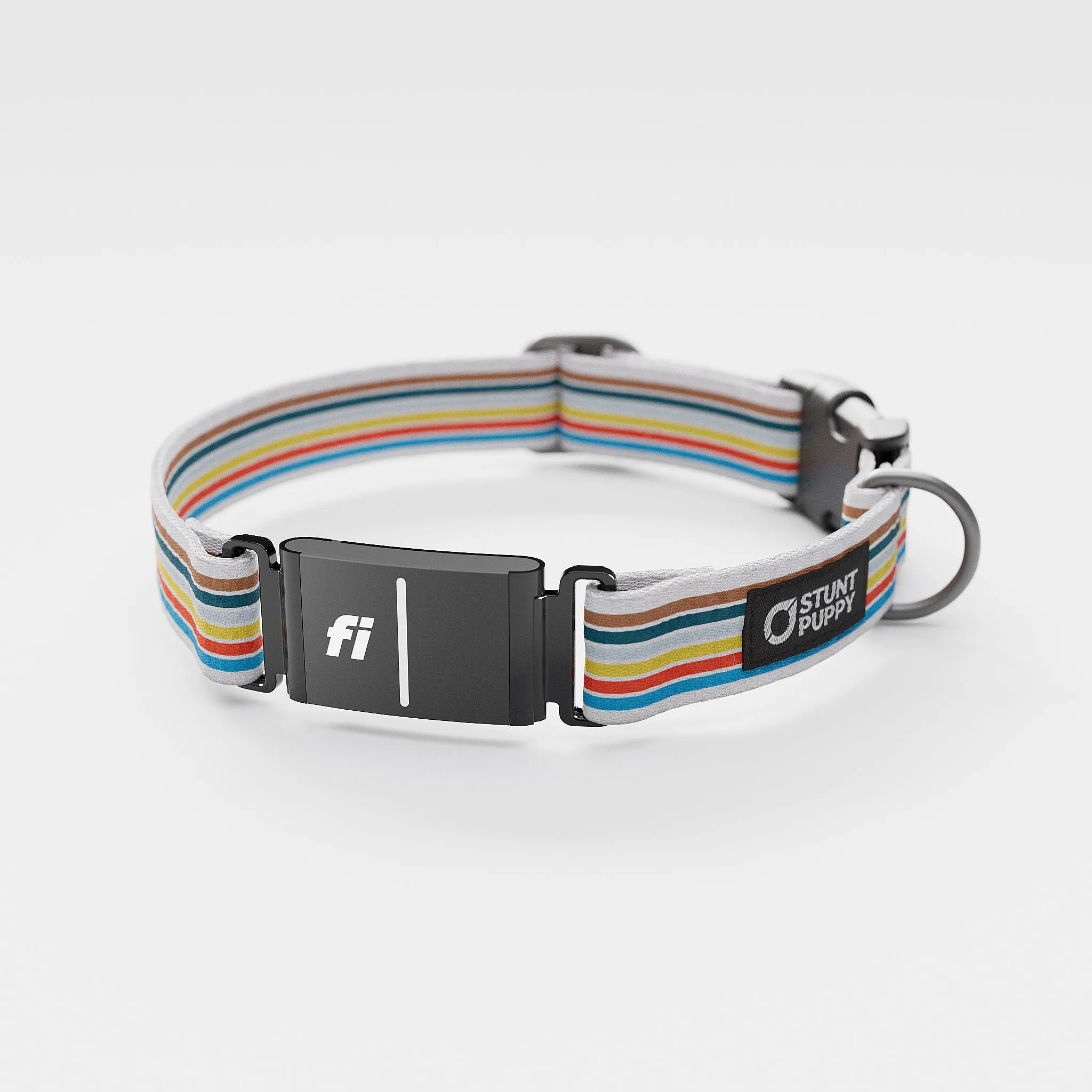 Fi GPS Included Track Everyday Collar (6 month subscription)