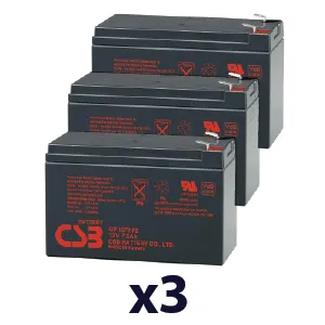 Liebert PS1000RM-230 UPS Batteries GP1272F2X3