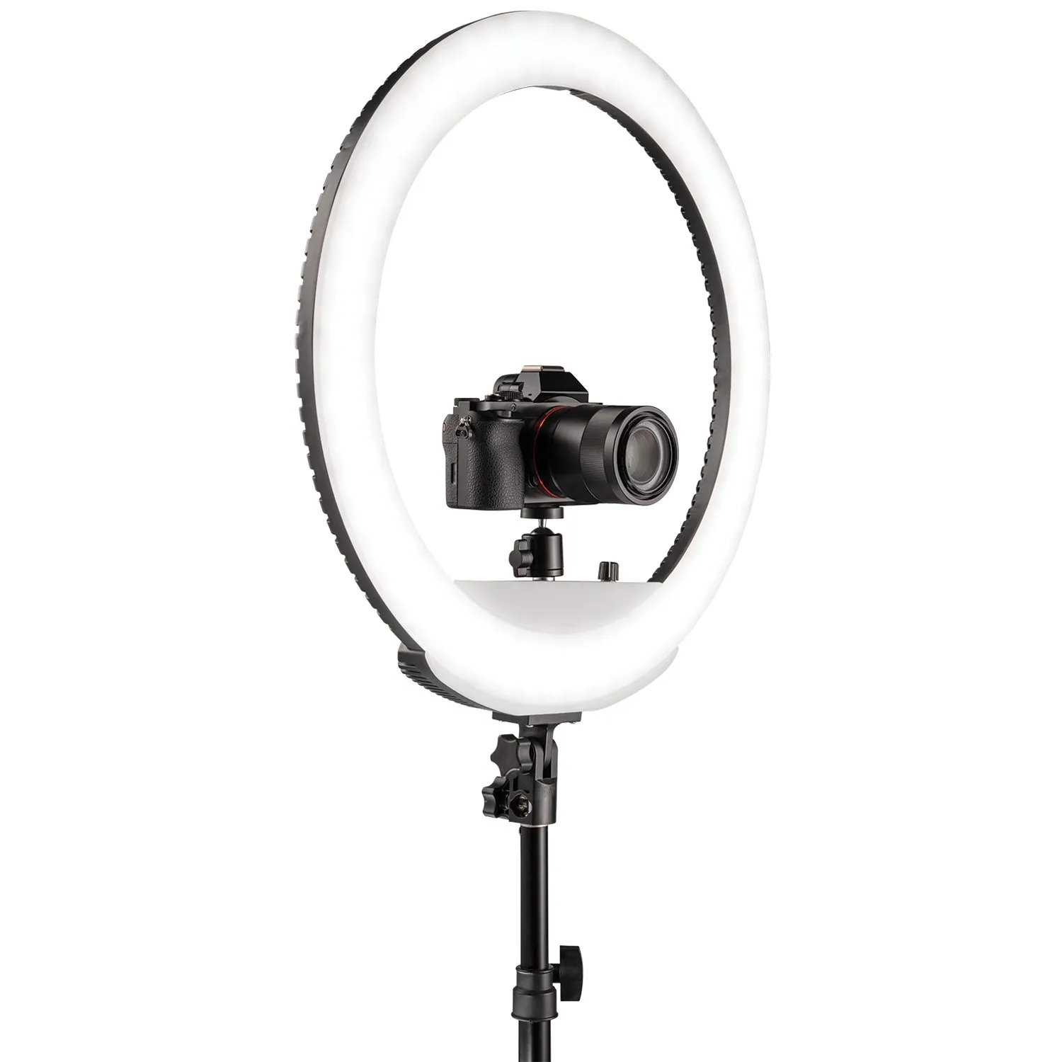 Ring Light Kit with X-Drop Backdrop & Stands