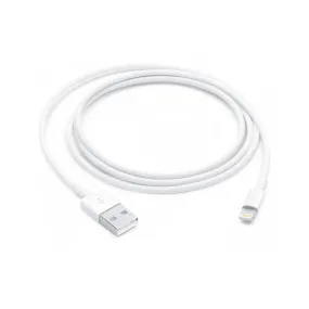 USB-A to Lightning Cable (1 m)