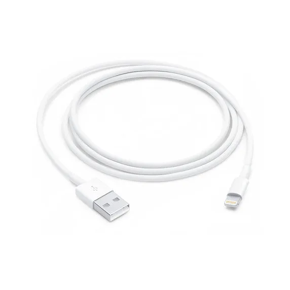 USB-A to Lightning Cable (1 m)