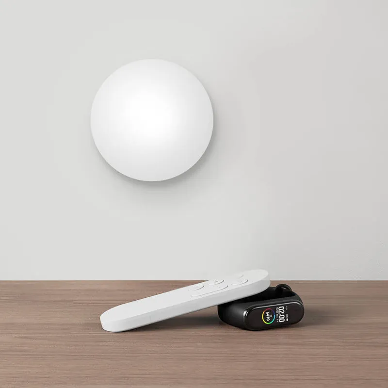 Xiaomi Smart Led Ceiling Light - 450Mm